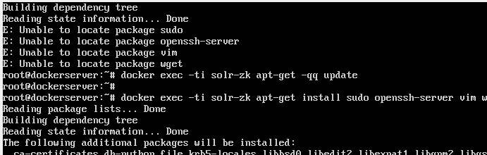 Cannot install packages inside docker Ubuntu image ?