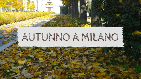 Viale alberato a Milano, foliage