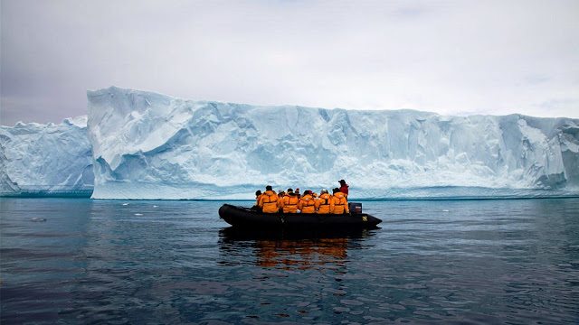 Penguins in Antarctica