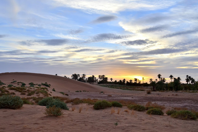 Marruecos. valle del draa.