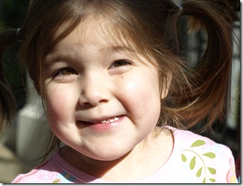 Nov 1, 2008 to Mar 25, 2009 1183