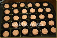 Coklat Myza 10.3.2011 009