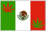 México maconha