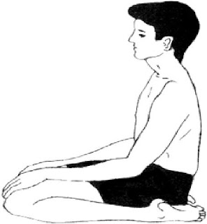 VAJAR ASANA