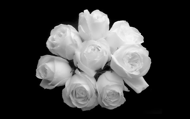 White Rose Bouquet Flower Wallpaper