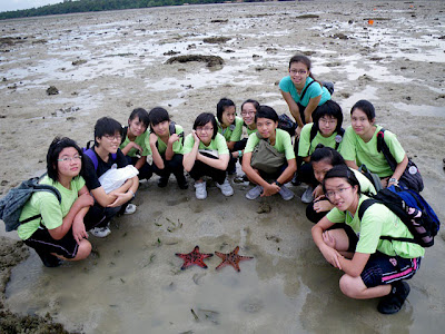 Group Photo with Knobbly Sea Stars (Protoreaster nodosus)