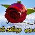 kadhal kavithai tamil video ( Love Quotes in tamil) 