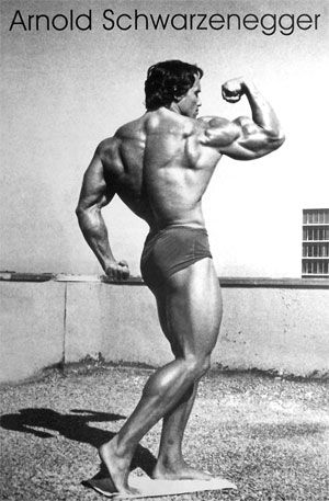 arnold schwarzenegger workout pics. arnold schwarzenegger workout