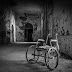 CRÔNICAS DE HOSPÍCIO: O DIREITO À DIGNIDADE HUMANA