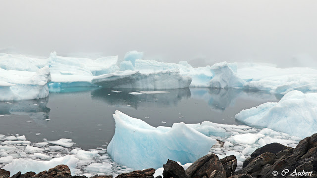 Savissivik, cimetière d'icebergs, météorite,Groenland