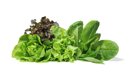 Photo of mixed greens on a white background.