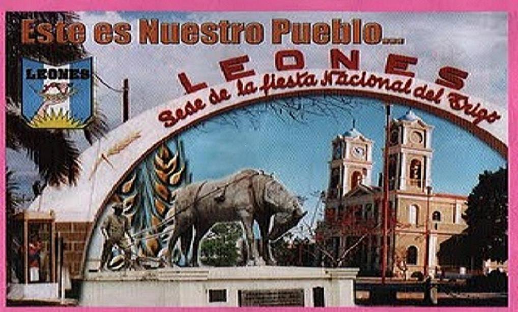 LEONES EN IMAGENES