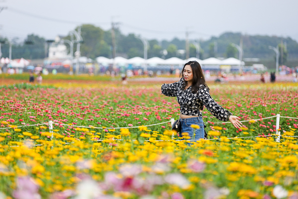 2020新社花海暨台中國際花毯節「愛麗絲的花境探險」精彩不容錯過