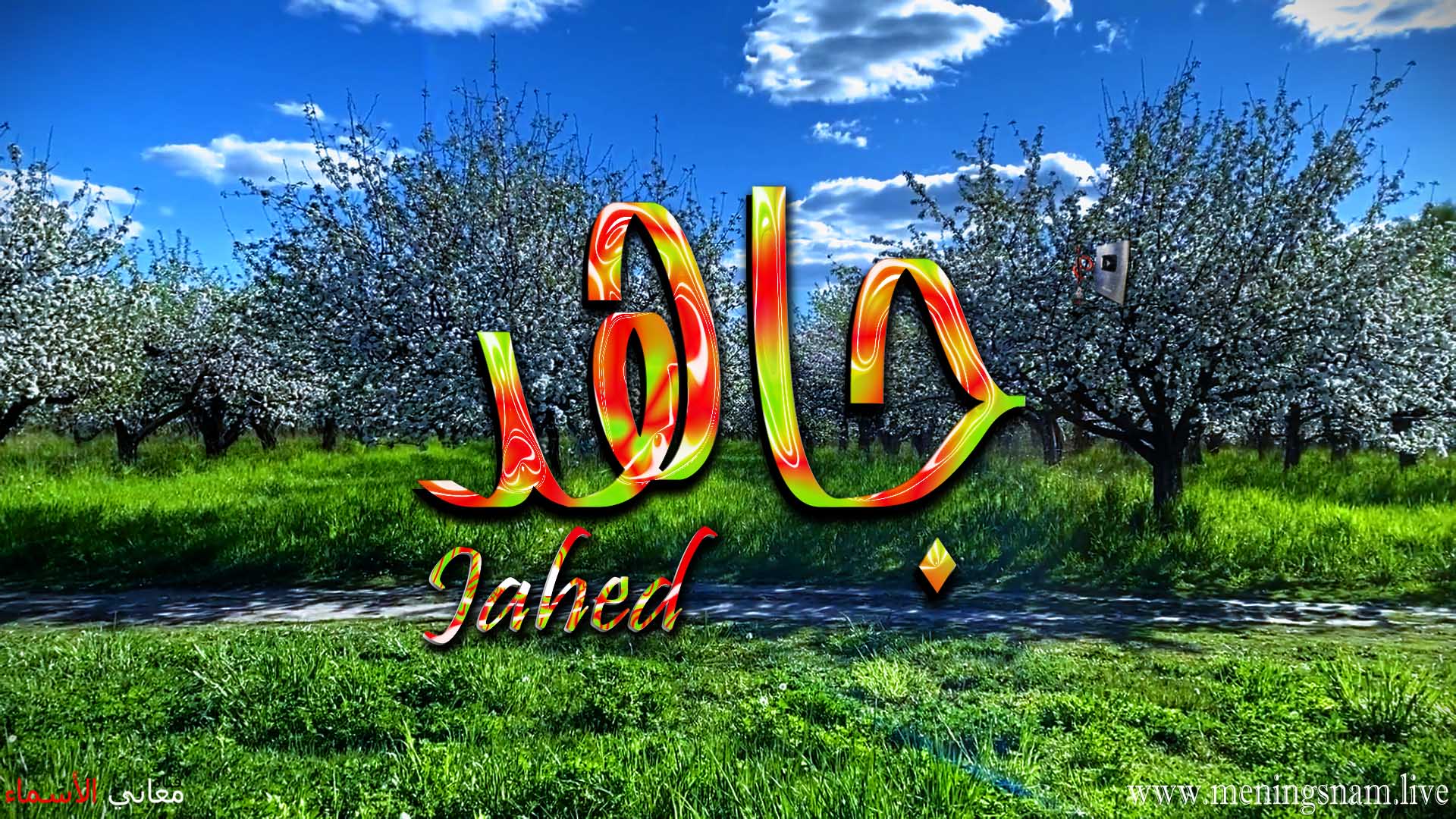 معنى اسم, جاهد, وصفات, حامل, هذا الاسم, Jahed,