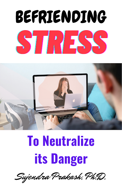 Ebook on Befriending Stress – To Neutralize its Danger.