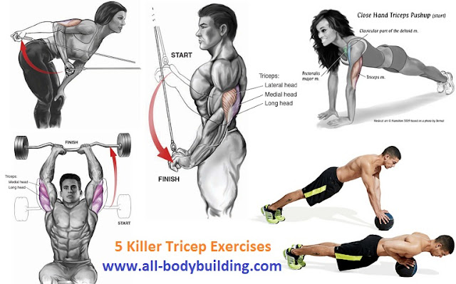 Killer Tricep Exercises