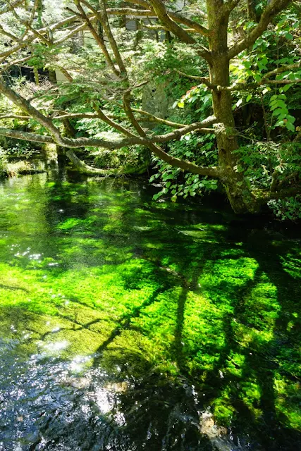 清水川～上高地（長野）