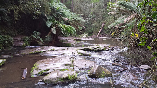 Erskine Falls, Lorne