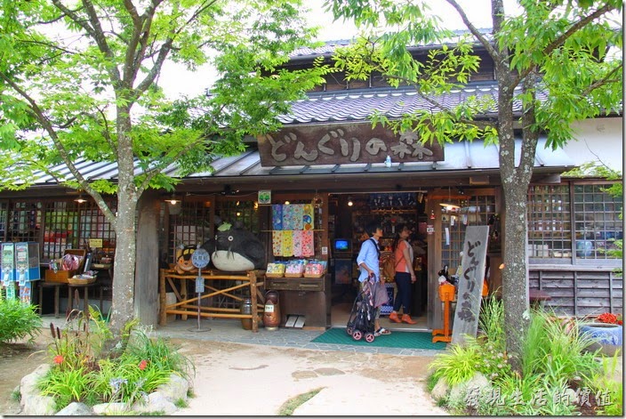 日本北九州-由布院-榛果之森