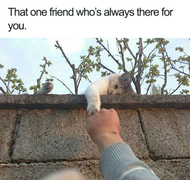 That one friend who's always there for you.