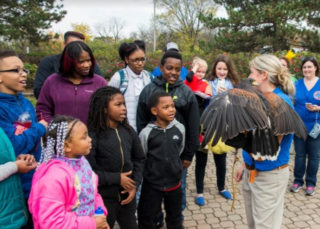 Zoo chats at Brookfield Zoo