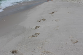 Foot Prints In The Sand, Living From Glory To Glory Blog...