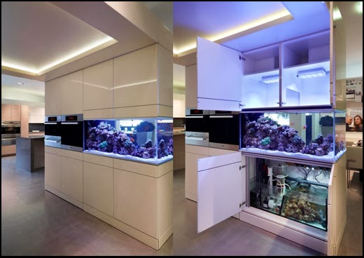 Aquarium Installation in kitchen Aquafront, Akil Gordon Beckford Lisa Melvin Design