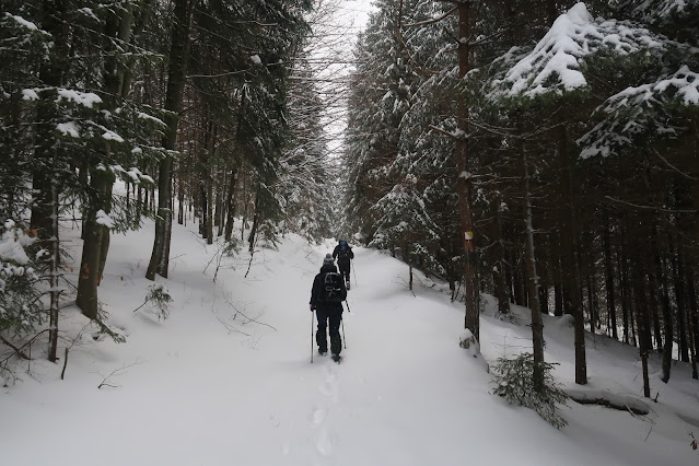 V zimnom lese po chodníku na Eliášovku z Litmanovej.
