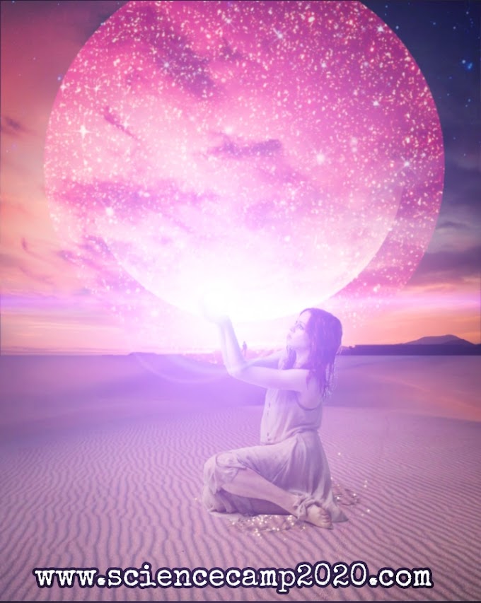 Does free will exist in the universe? The answer may be no