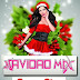 3007.-Aquafresh Huse Mix Vol 6 (Navidad Mix)