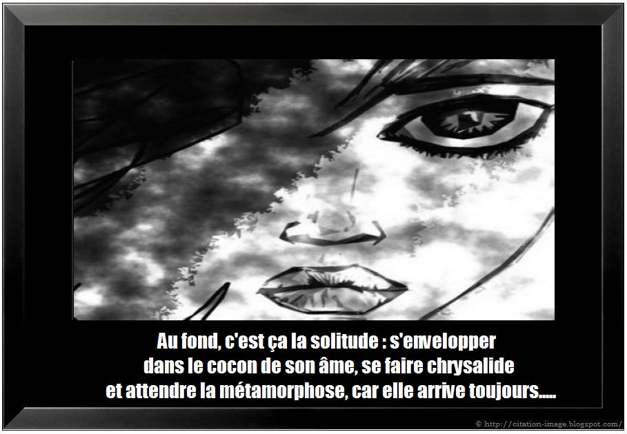 Proverbe citation solitude