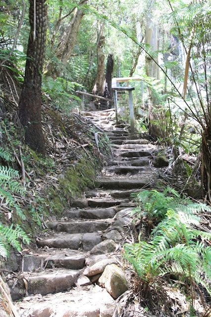 Tooronga Falls, Noojee