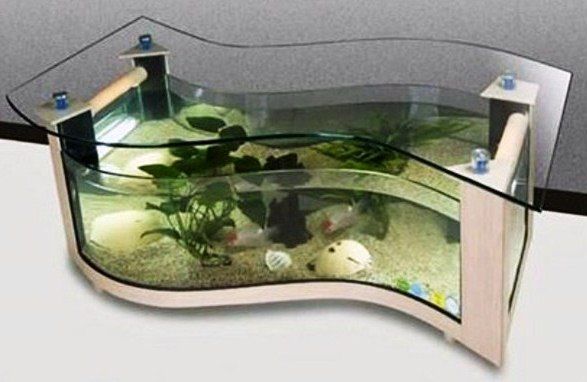 35 contoh model  dan harga meja  tamu aquarium  unik dari 