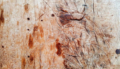 Free Withered Wood Textures