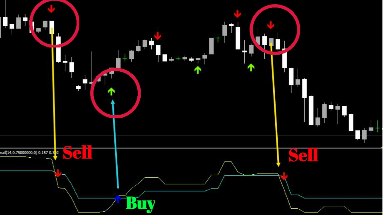 signals of binary options