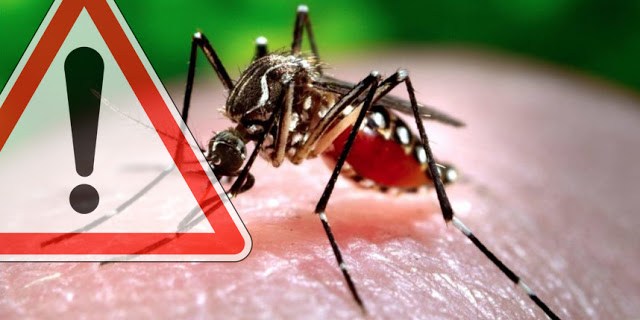 Kenali gejala dan pencegahan virus zika