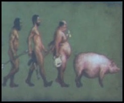 evolução do homem