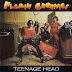 The Flamin' Groovies - Teenage Head (1971 great us rock 'n' roll - 1999 Buddha records edition with bonus tracks - Wave)