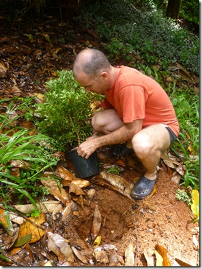 15 tree planting