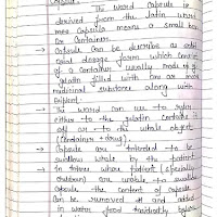 Capsule :- Hand written notes
