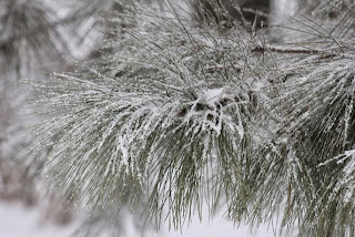 white christmas tree