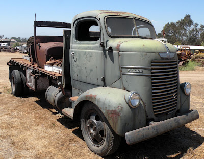 Dodge COE I love it I want it I'd make a hauler of it