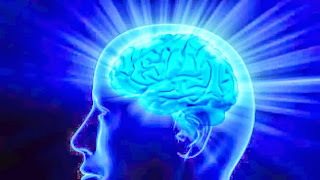 Protein Linked to Longevity and Enhanced Cognition Also Protects Against Alzheimer’s Symptoms