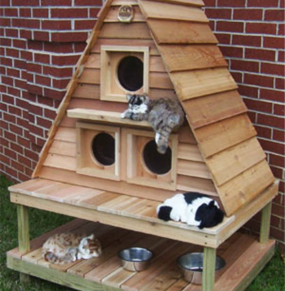 Cat House Design Ideas