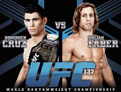 UFC 132