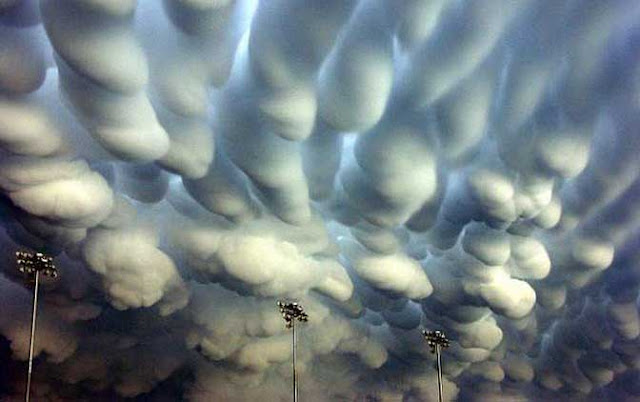 mammatus