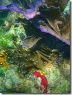 P1300048
