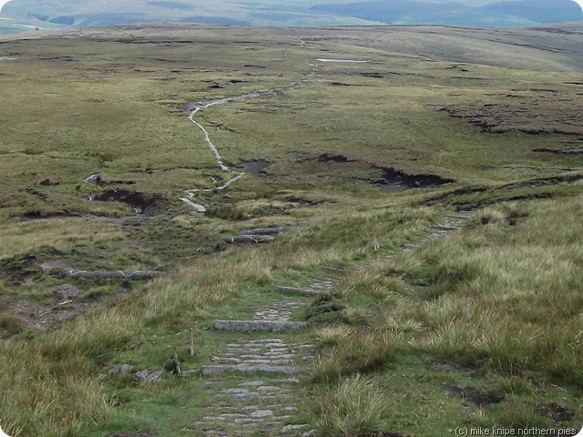pw shunner fell