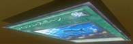 300px-FishSpawn-JP-Anime-ZX