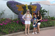 Disney World Flowers! They say there are a few ﻿times of the year that . (disney world vacation audrey )